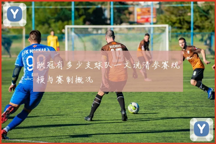 欧冠有多少支球队一文说清参赛规模与赛制概况