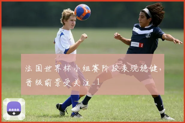 法国世界杯小组赛阶段表现稳健,晋级前景受关注_1