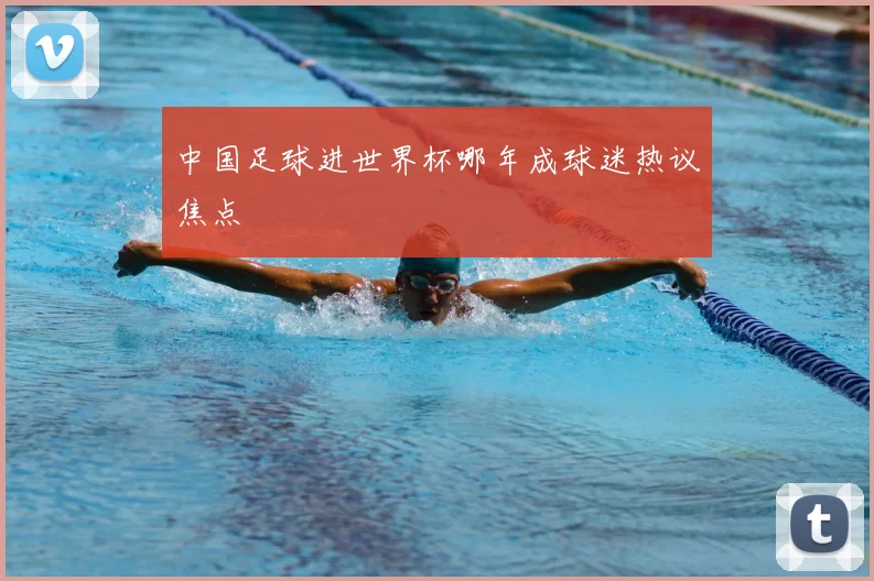 中国足球进世界杯哪年成球迷热议焦点